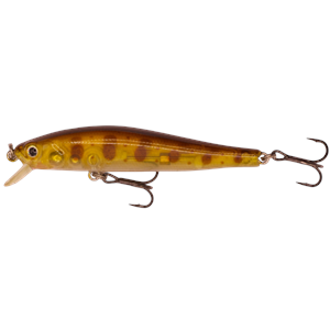 FullImage